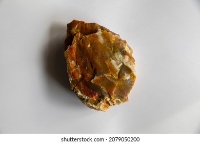 Rock from Utah, found in Duck City could be petrified wood. Lots of red colors on it setting on a white background.