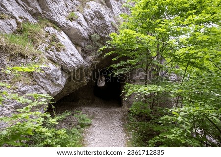 Rock wall with entrance to the tunnel cave in Jura mountains, hiking path trail, light at the end of tunnel. Green trees. Gorges de Court, Switzerland.