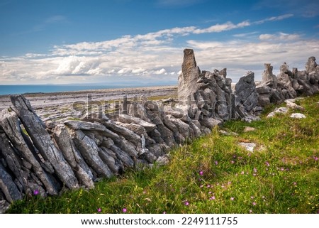 Rock wall in the limestone landscape of the Burren in Ireland