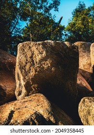 Rock Walls In The Beach Forest For Erosion Control