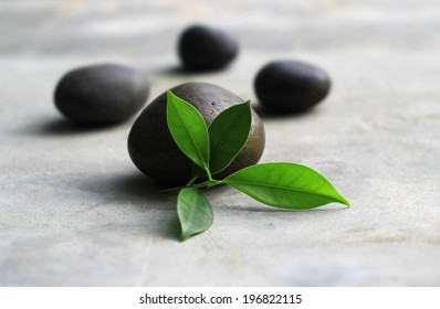 Galet Zen High Res Stock Images Shutterstock