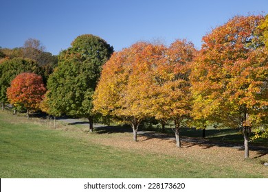 Rockefeller State Park Preserve At Autumn