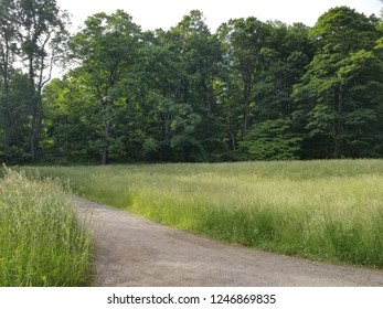 Rockefeller State Park Preserve, NY