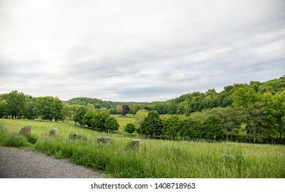 Rockefeller State Park Preserve Trails