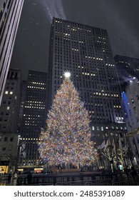The Rockefeller tree in NYC