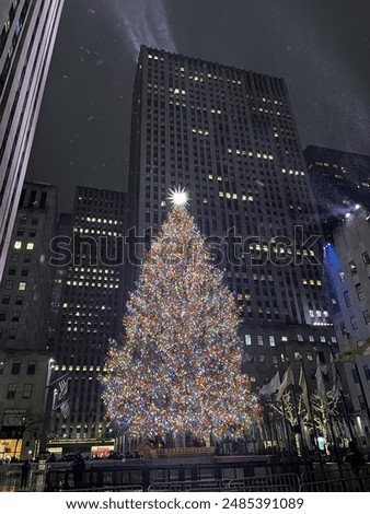 The Rockefeller tree in NYC