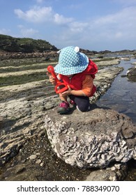 A Rocker Girl Plays Her Toy Like Playing Air Guitar Or Like The Pose Of Cleaning The Rifle Gun In The Taiwanese Military. The Girl Falls On A Knee On The Rock Of The Tidal Flat Near The Sea.