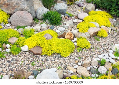 Rock Garden High Res Stock Images Shutterstock