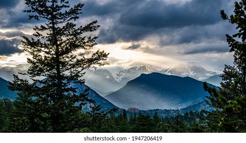 Rockies Sunlight On Mountain Vista With Fir Trees