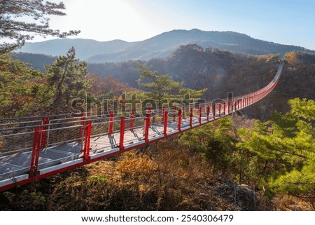 Similar – Image, Stock Photo Suspension bridge in the forest