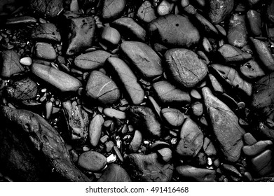 The rocks