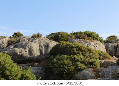 rocks