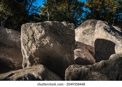 Rocks At The Beach Forest For Erosion Control On Cape Cod