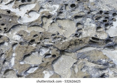 Rocks Beach,Select Focus 