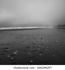 Rocks and bubbles form patterns on the beach on a foggy day.