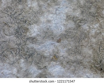 Rocks , Canadian Sheild , Water, Surface