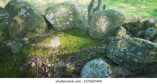 rocks covered in moss