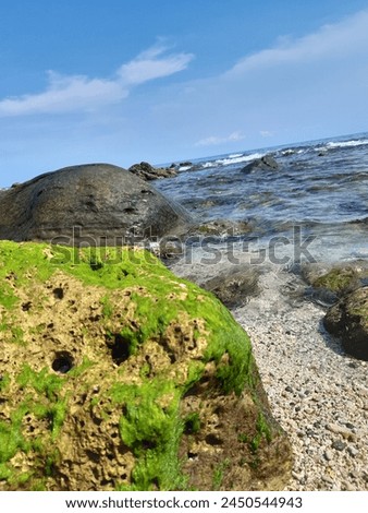 rocks covered with moss and sand on the beach