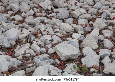 Rocks Covering The Ground In A Chicago Forest Preserve With Red And Brown Leaves Fallen Between Them.