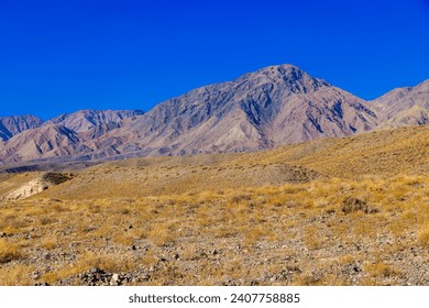rocks and dry grass tufts in autumn mountains scene at sunny day.