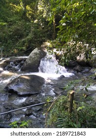 Rocks Flowing Whit Water In The Middle Of The Forest Whose Beauty Iss Stil Preserved