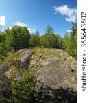 Rocks in the Forest
