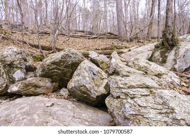 rocks in the forest