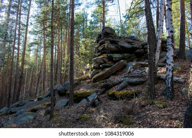 Rocks in the forest