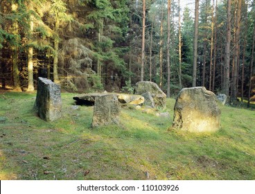 Rocks in the forest