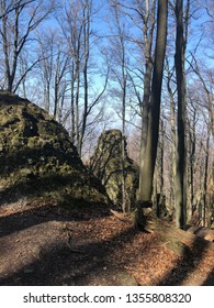 Rocks in the forest
