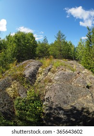 Rocks in the Forest