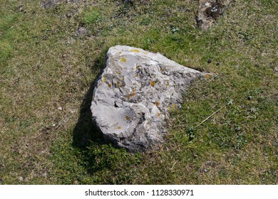 rocks in grass