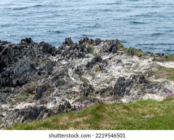 15,706 Green Grass Near Beach Images, Stock Photos & Vectors | Shutterstock