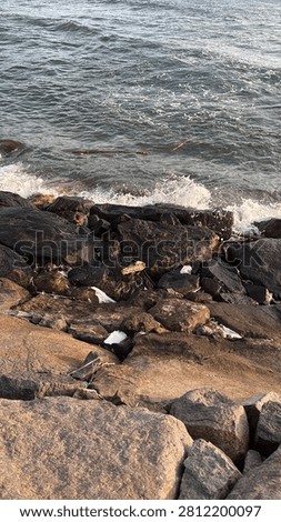 Rocks hit by waves on a slightly dirty beach