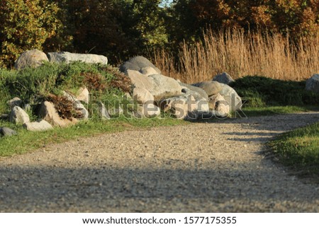 rocks lining a walking path