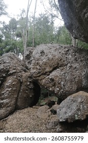 
rocks in the middle of the forest