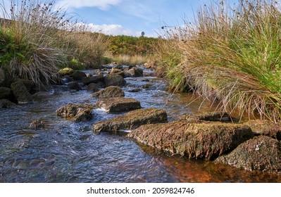 Rocks In A Moorland Stream