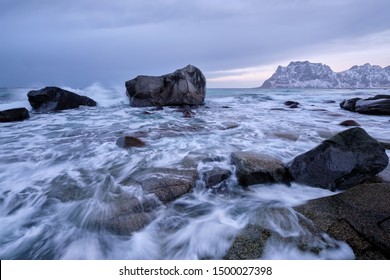 Rocks on beach of fjord of Norwegian sea in winteron sunset. Utakliev beach, Lofoten islands, Norway
