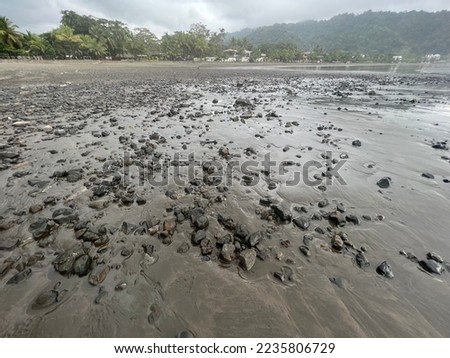 rocks on the ocean at low tide