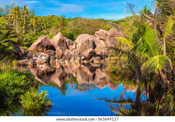 Rocks and palms reflected in tropical lake in\
jungle, La Digue island in\
Seychelles