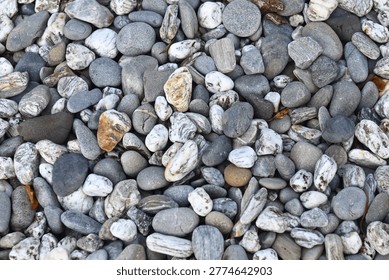 rocks pebbles texture background wallpeper