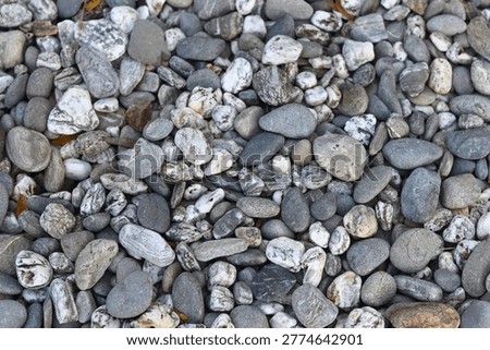rocks pebbles texture background wallpeper