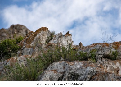 rocks and sky