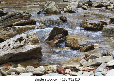 Rocks In A Small Stream Northern Kentucky