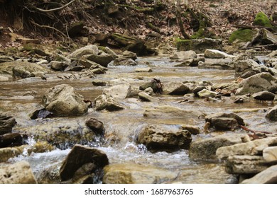 Rocks In A Stream In Northern Kentucky