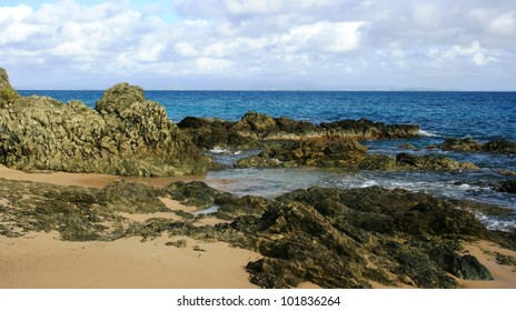 Rocks And Tidepools On A Beach, Vieques, Puerto Rico