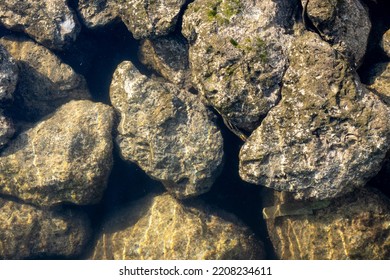 Rocks Under The Salty Water Of Miami