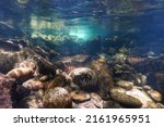 Rocks underwater landscape in a river, rocky riverbed, Spain, Galicia, Pontevedra province, Rio Verdugo