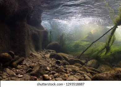 Rocks underwater on riverbed with clear freshwater. River habitat. Underwater landscape. Mountain river. Litle stream with gravel. Underwater scenery, algae, mountain river cleanliness.