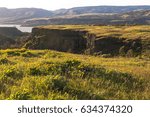 Rocks and wild flowers. Rowena Plateau. Columbia river gorge in Oregon